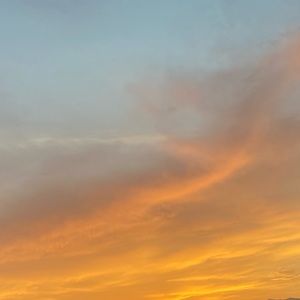 Meet your Posher, Araceli